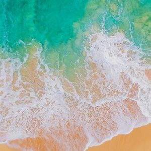 Meet your Posher, Carol